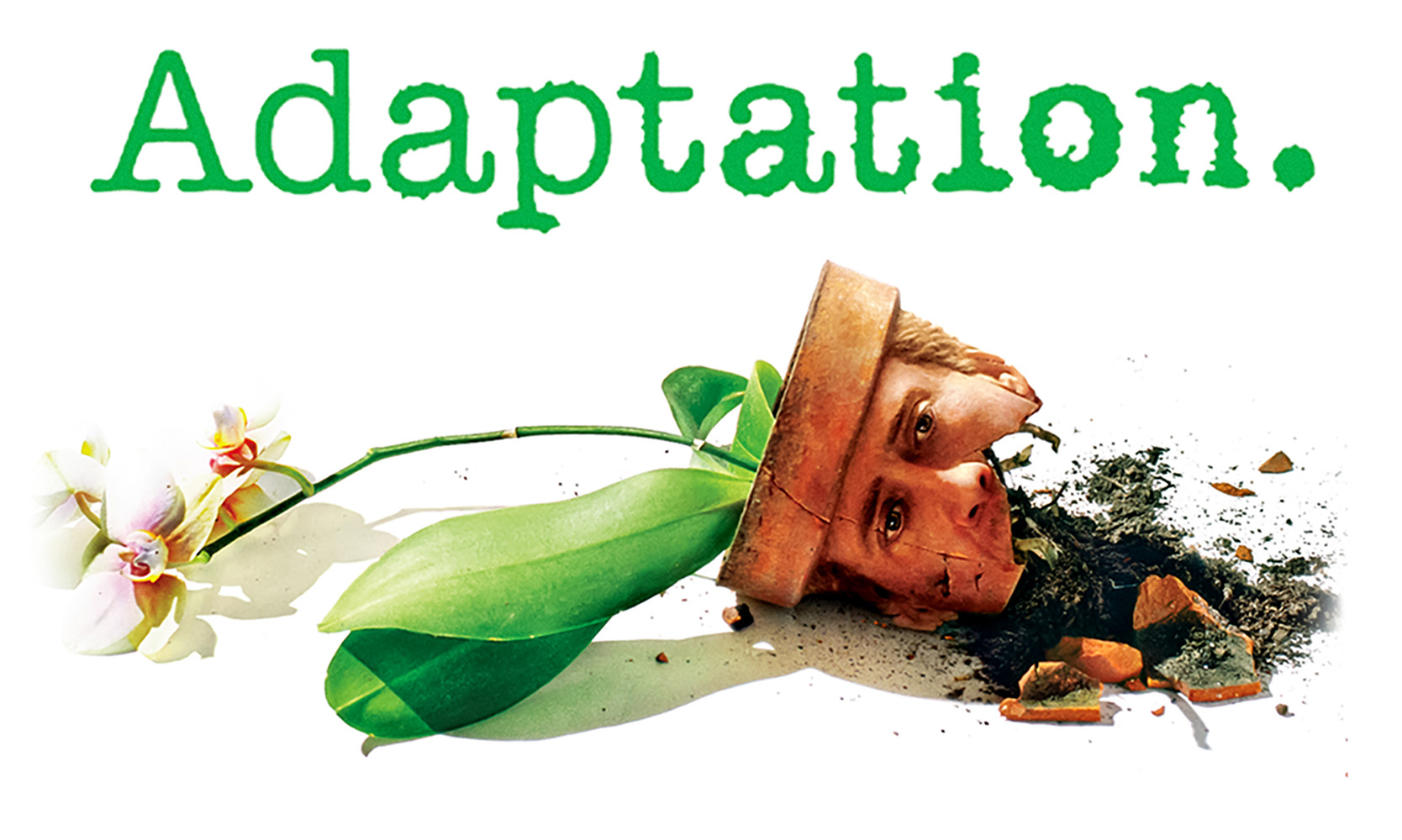 Adaptation