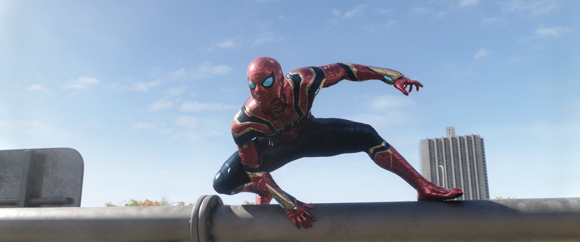 Spider MAN