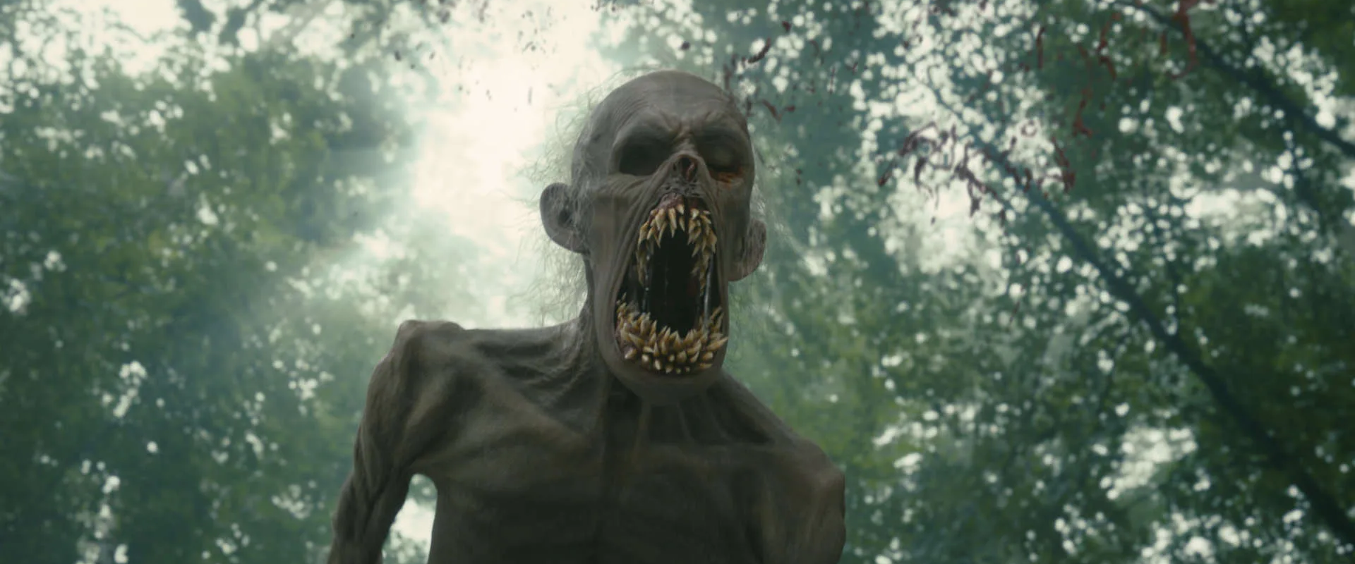 vfx voice derry featured 1