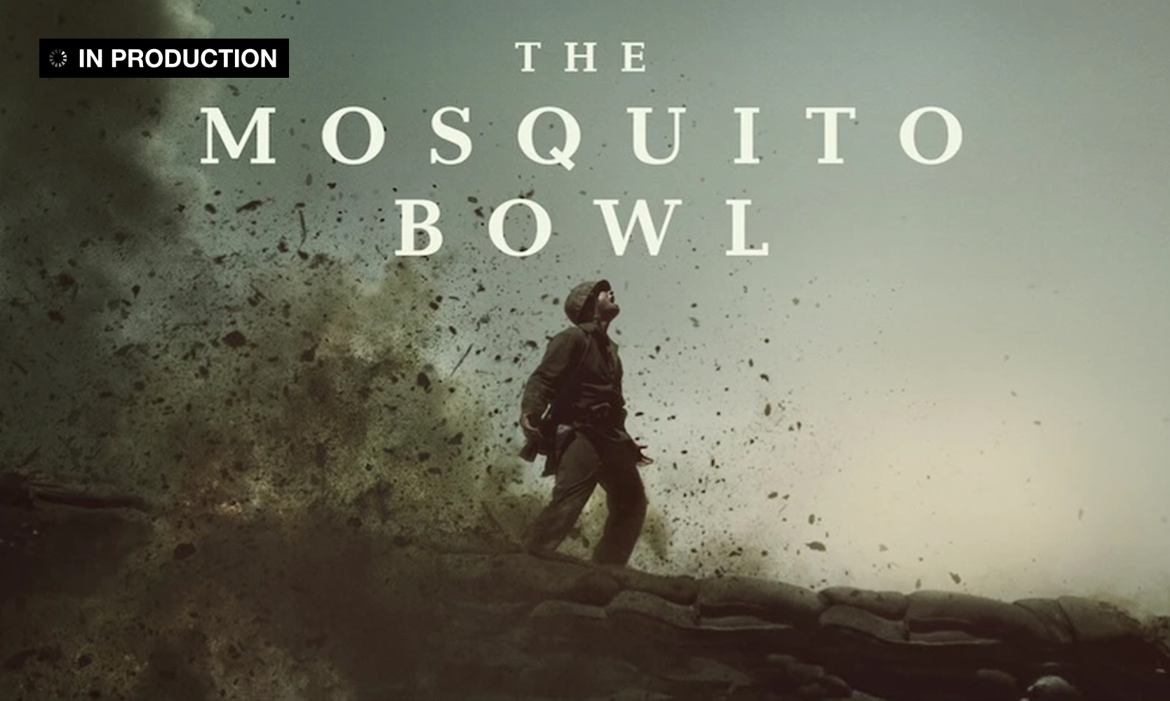 The Mosquito Bowl